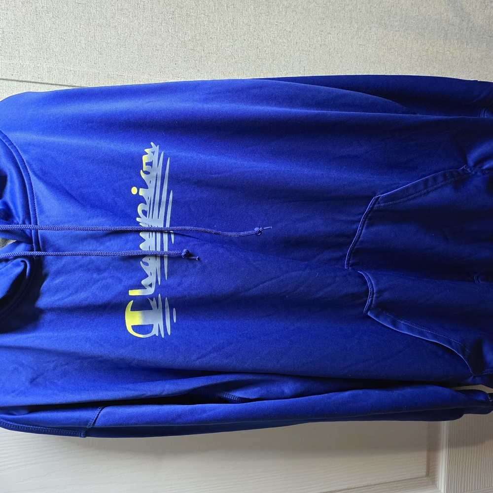 Champion Blue Hoodie